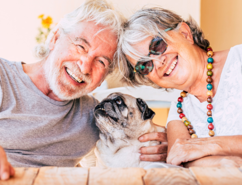 The Pawsitive Impact: How Having a Pet Can Safeguard Against Dementia