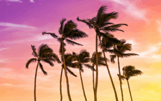 How Cultural Values in Hawaiʻi Shape Home Care Services