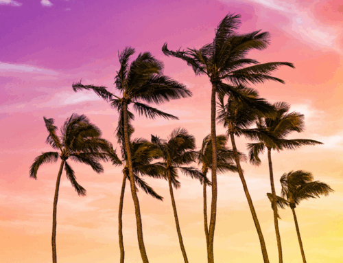 How Cultural Values in Hawaiʻi Shape Home Care Services